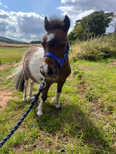 Load image into Gallery viewer, Karele Equestrian Keyrings, Magnets & Coasters