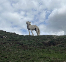 Load image into Gallery viewer, Karele Equestrian Keyrings, Magnets & Coasters