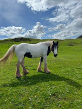 Load image into Gallery viewer, Karele Equestrian Keyrings, Magnets & Coasters