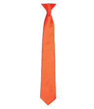 Load image into Gallery viewer, EDFC Satin Clip Tie