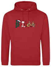 Load image into Gallery viewer, Believe Hoodie