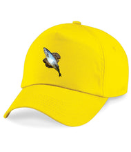 Load image into Gallery viewer, Fish on a Shit Cap