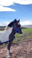 Load image into Gallery viewer, Karele Equestrian Keyrings, Magnets &amp; Coasters
