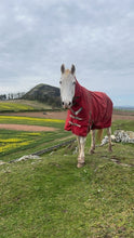 Load image into Gallery viewer, Karele Equestrian Keyrings, Magnets &amp; Coasters
