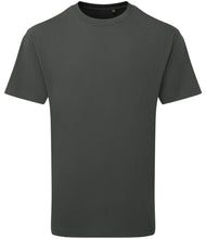 Load image into Gallery viewer, Anthem Unisex Organic Heavyweight T-Shirt
